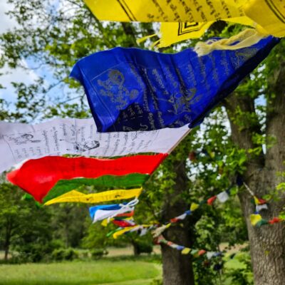 Tsa Lung Retreat Ticket - Teaching Fee